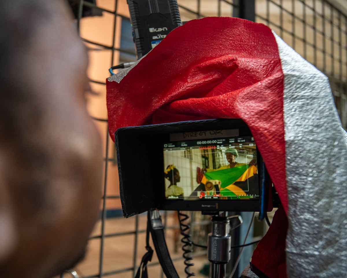 Director's monitor